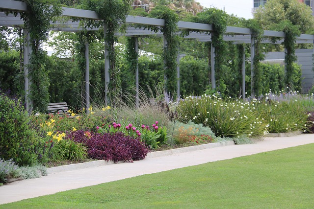 pergola bydlení